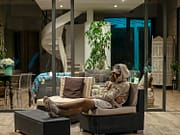 Zyrtck Rilascia il Nuovo Singolo “IN N OUT”