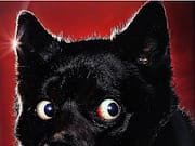 IRBIS pubblica “EXIT”: il nuovo EP tra hip hop, malinconia e ricerca interiore